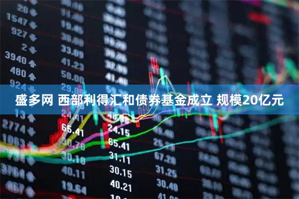 盛多网 西部利得汇和债券基金成立 规模20亿元