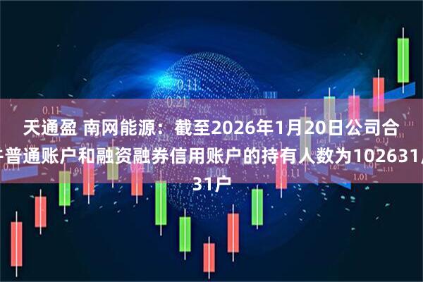 天通盈 南网能源：截至2026年1月20日公司合并普通账户和融资融券信用账户的持有人数为102631户